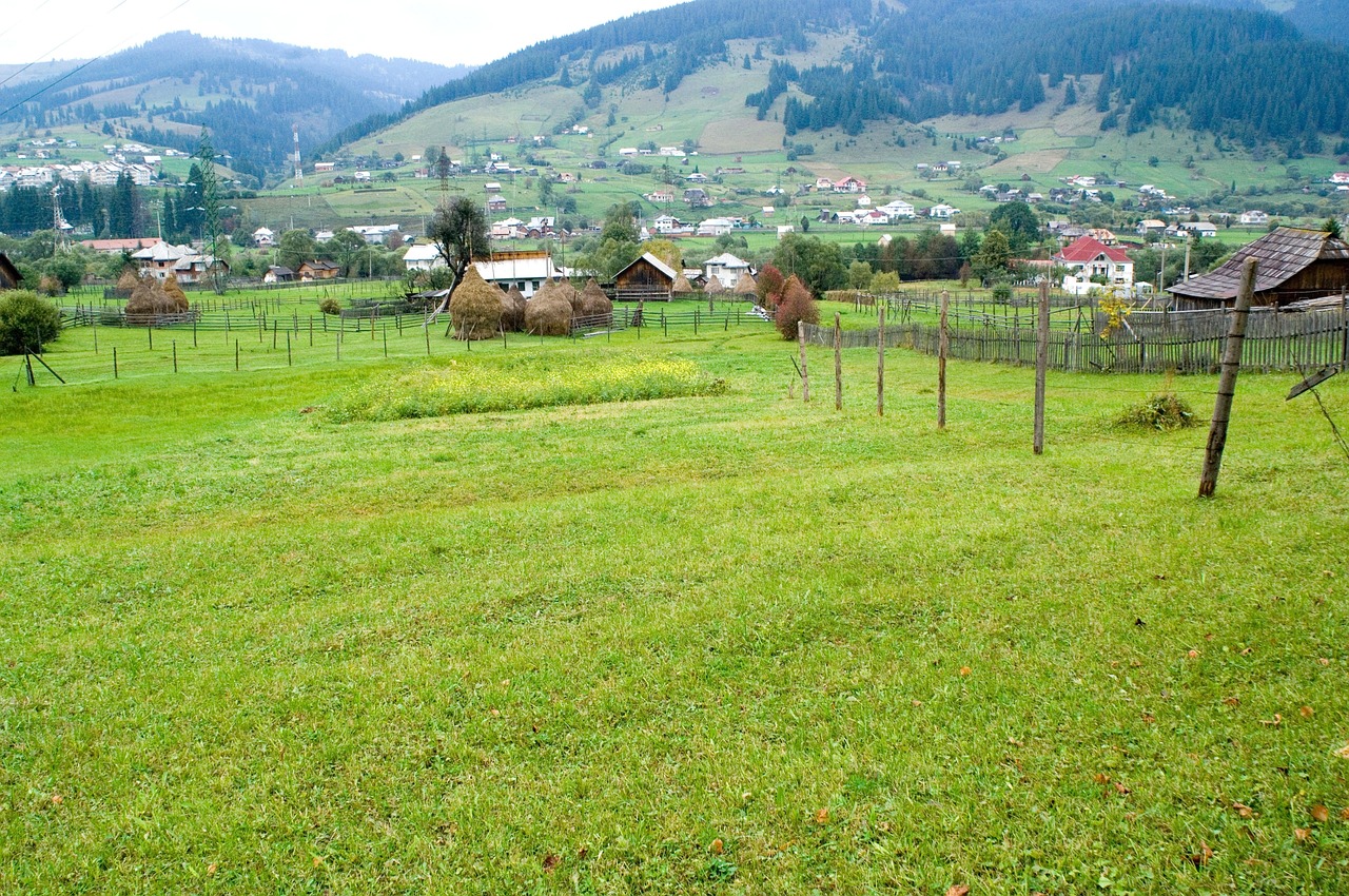 Peisaj rural din Romania, context pentru intrebarea De unde este Șef Paul Constantin?