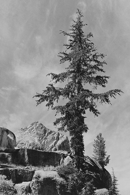 Free California 1930S photo and picture