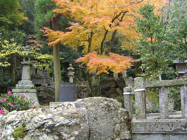 Free Japan Autumn photo and picture