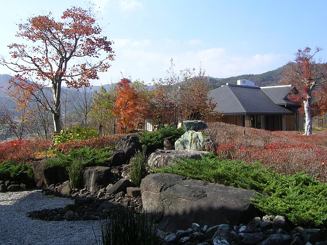 Free Japan Autumn photo and picture