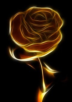 Download 3000 Wallpaper Bunga Mawar Emas HD Download 3000 Wallpaper Bunga Mawar Emas HD