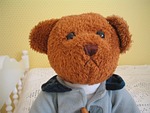 teddy bear, brown, clothing
