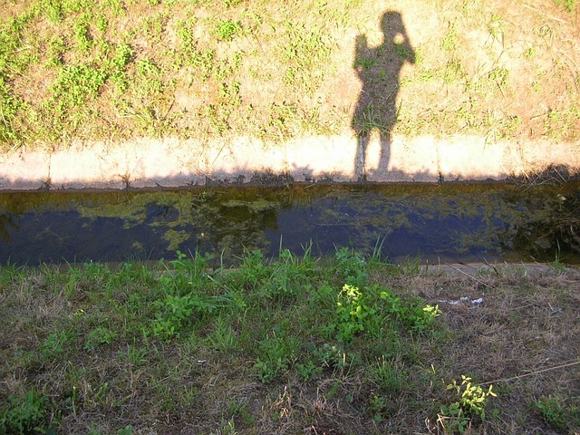 Free Shadow Light And Shadow photo and picture