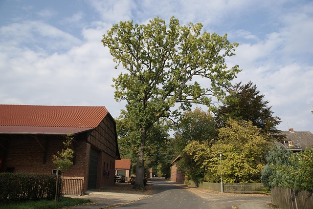 Landwirtschaft, Bauer, Dorf, Edemissen