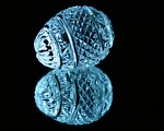 crystal, egg, cut glass
