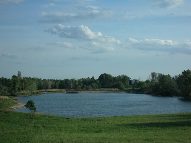 Free Landscape Lake photo and picture