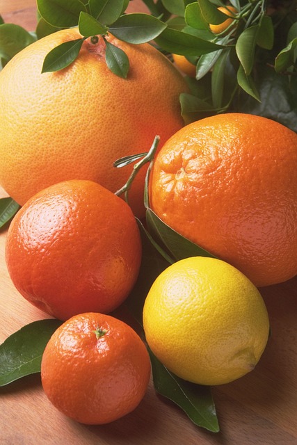 Free Fruit Orange photo and picture