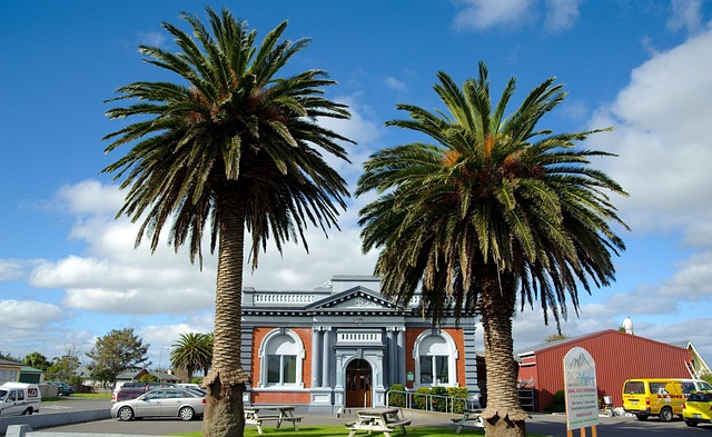 Free New Zealand Sky photo and picture