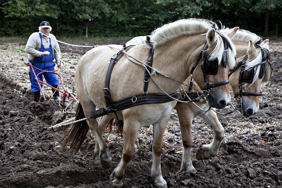 Horses Plow Plowing · Free photo on Pixabay