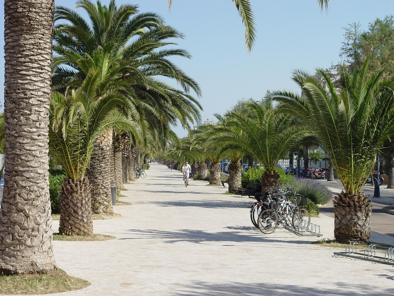 San Benedetto Del Tronto Promenade - Free photo on Pixabay - Pixabay