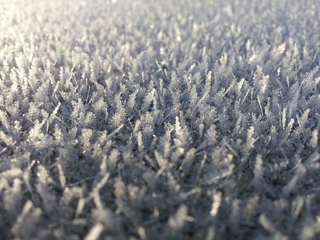 Free Ripe Ice Crystals photo and picture