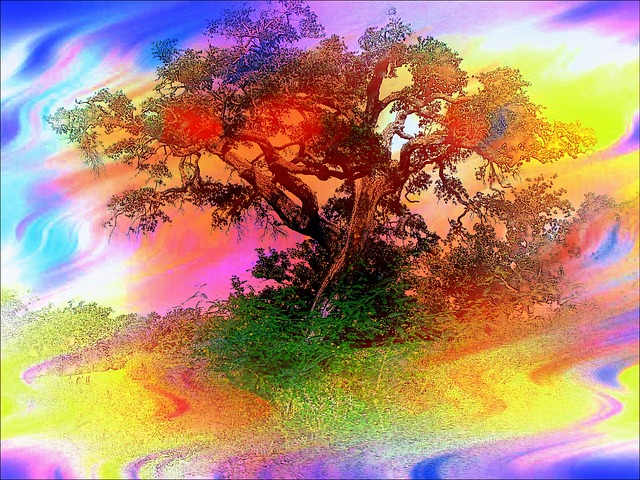 Free trees abstract branches illustration