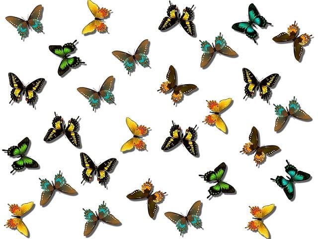 Free background butterflies design illustration