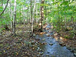 brook, stream, water