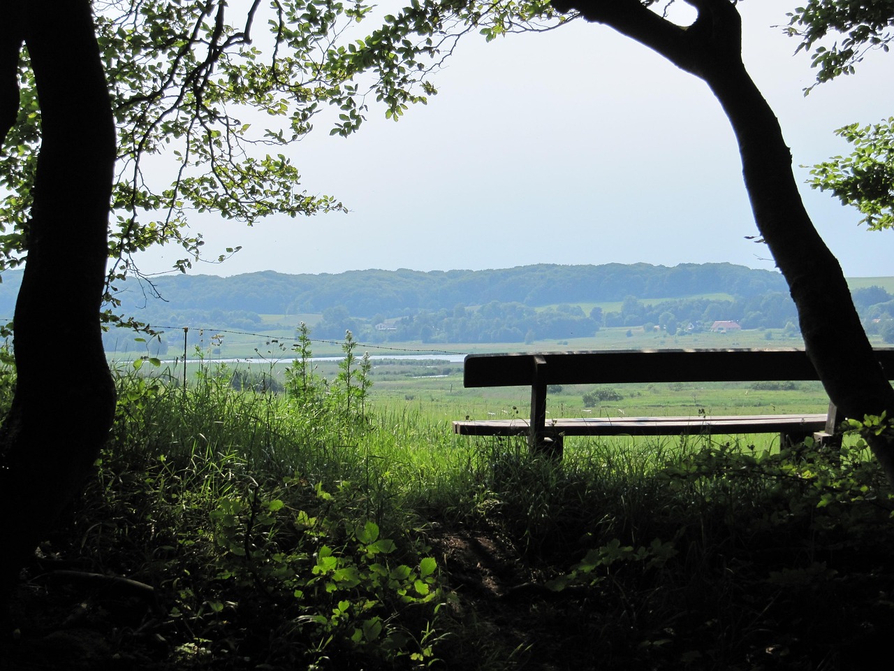 2+ Free Skov Omgivelser & Denmark Images - Pixabay