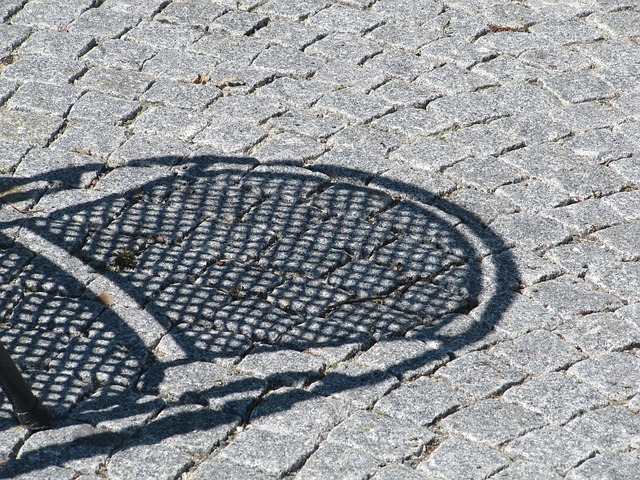 Free Pavement The Shade photo and picture