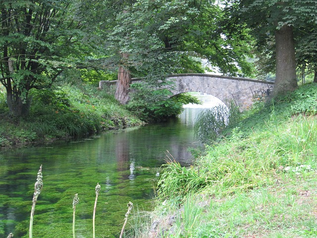 Free Flow Water photo and picture