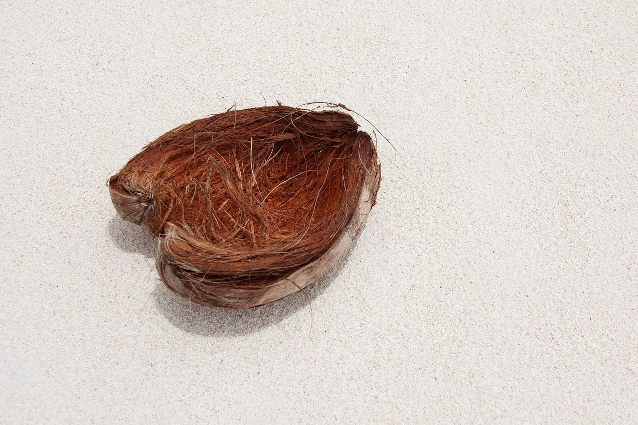 Coconut - free online jigsaw puzzle photo