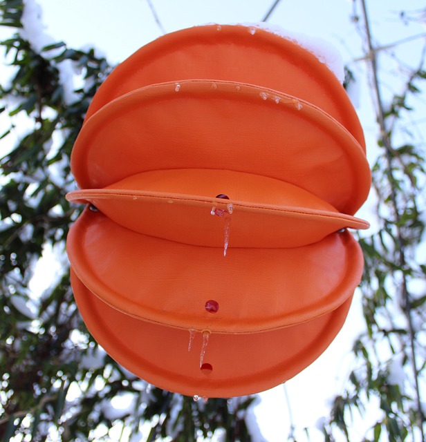 Free Lampion Weatherproof photo and picture