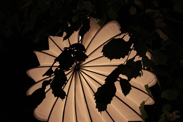Free Lampion Weatherproof photo and picture