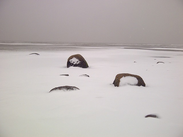Free North Sea Winter photo and picture