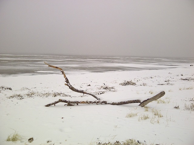 Free Winter North Sea photo and picture