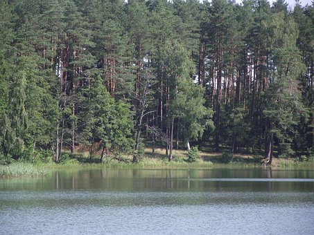 Jazero, Masuria, Kačice, Voda, Kĺb