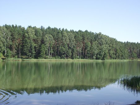 Jazero, Masuria, Kačice, Voda, Kĺb