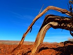 utah, landscape, desert