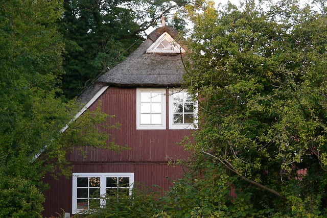 Landsted, Holzhaus, Sommer, Stråtag