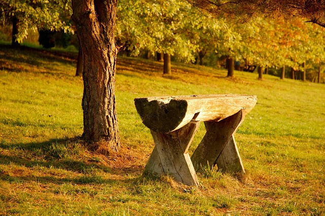 Free Sunset Autumn photo and picture