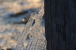 ice, winter, crystal