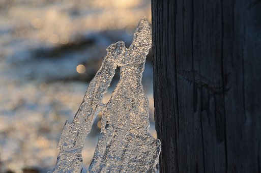 Free Ice Winter photo and picture