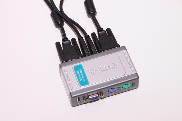 Computere, D-Link, Dkvm, Havn, Ps 2