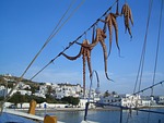 mykonos, greece, harbor