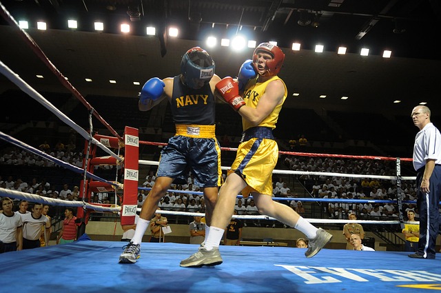 Free photo boxing boxers ring rope ropes free image on pixabay
