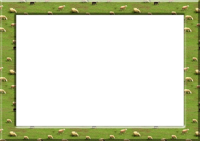 Free frame picture frame outline illustration