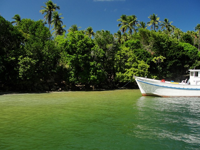 Free Beach Paradise photo and picture