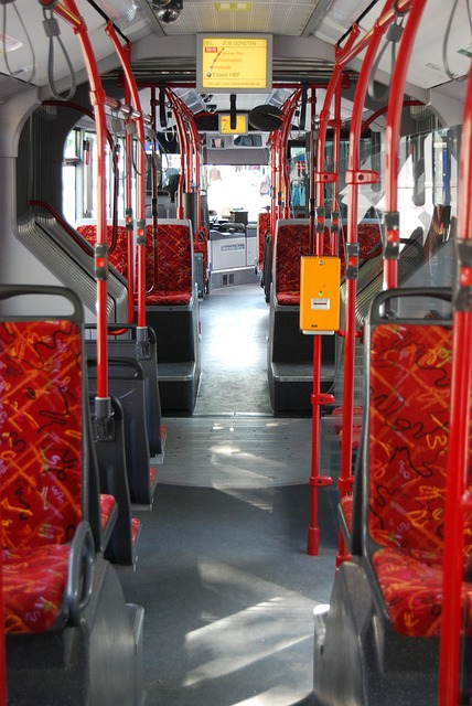 Free Backseat Evag Bus Meal photo and picture