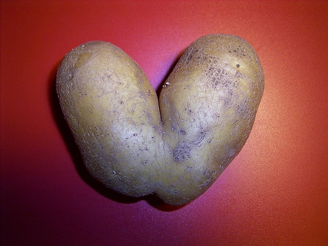 Free Potato Shape photo and picture