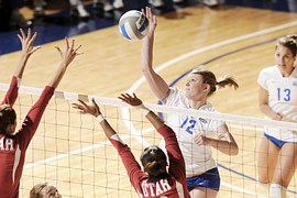 volleyballfans-volleyball-kostenloses-foto-auf-pixabay