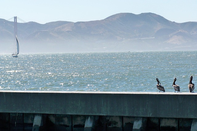 Free San Francisco Sea photo and picture