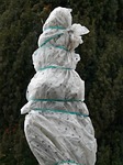 winter protection, plant protection, protection against cold