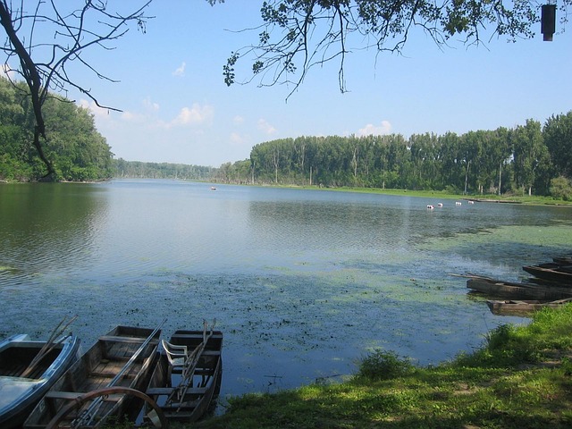 Free Tisza Water photo and picture