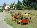 hungary, landscape, flowers