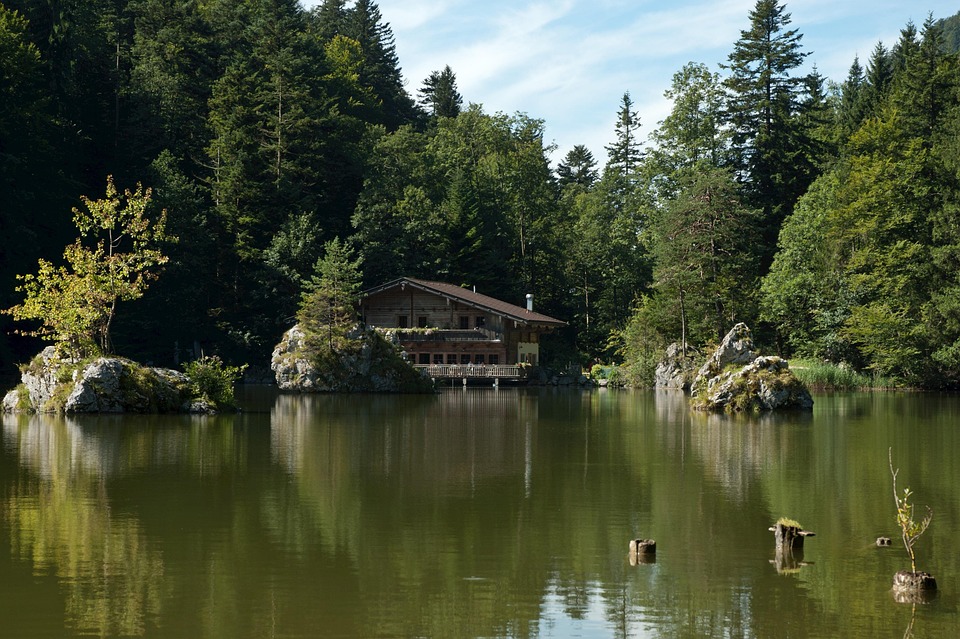 Austria Foresta Alberi · Foto gratis su Pixabay