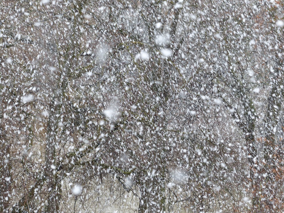 Free photo Blizzard, Snow Flurry, Snowflakes Free Image on Pixabay