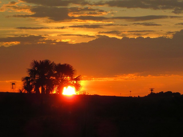 Atardecer Llanero Paisaje Puesta Foto Gratis En Pixabay Pixabay