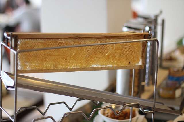 Free Honey Food photo and picture