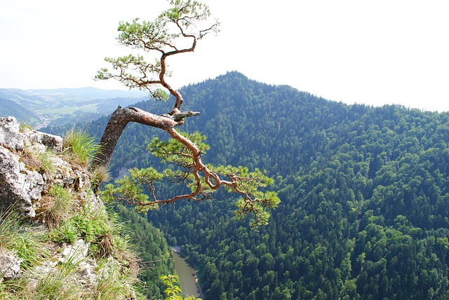 Free Mountain Mountains photo and picture